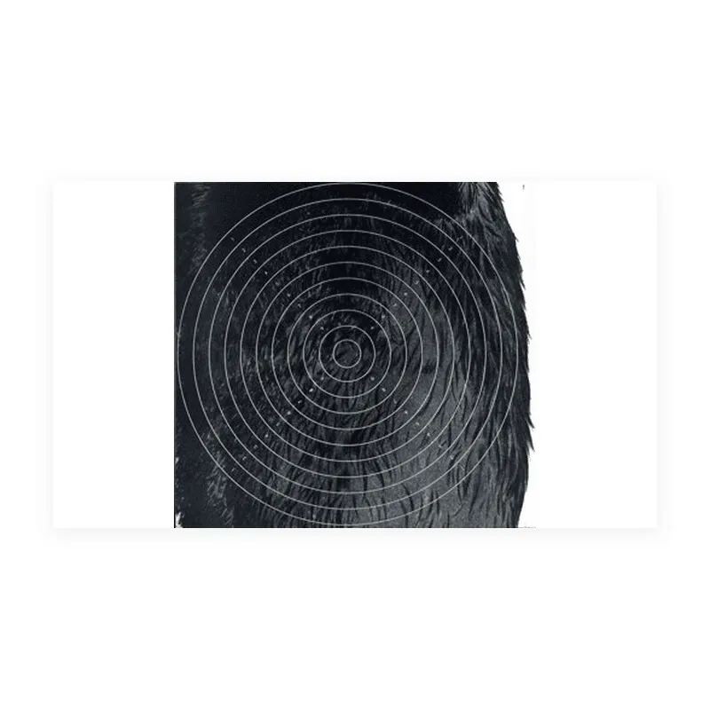 Centre cible sanglier courant format 37.5x39 tête à gauche carton