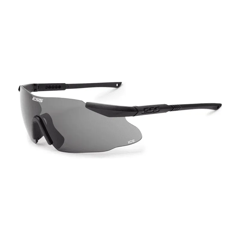Lunettes ICE ONE FUME