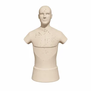 Mannequin Tir 3D Dragon Auto System